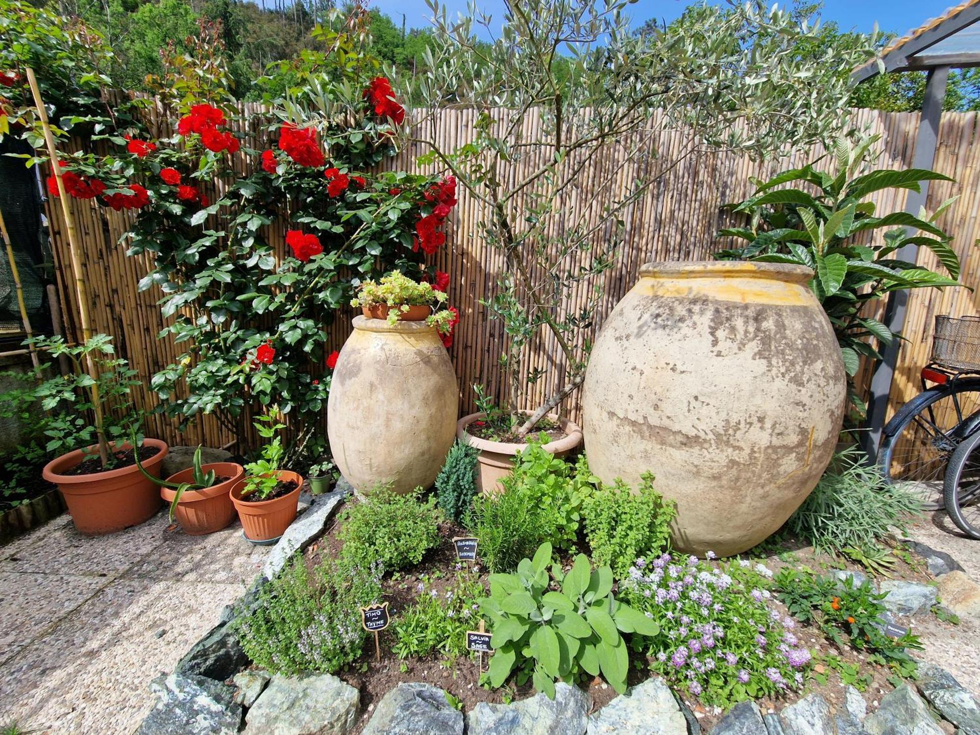 Le Giare B&B Λεβάντο Εξωτερικό φωτογραφία